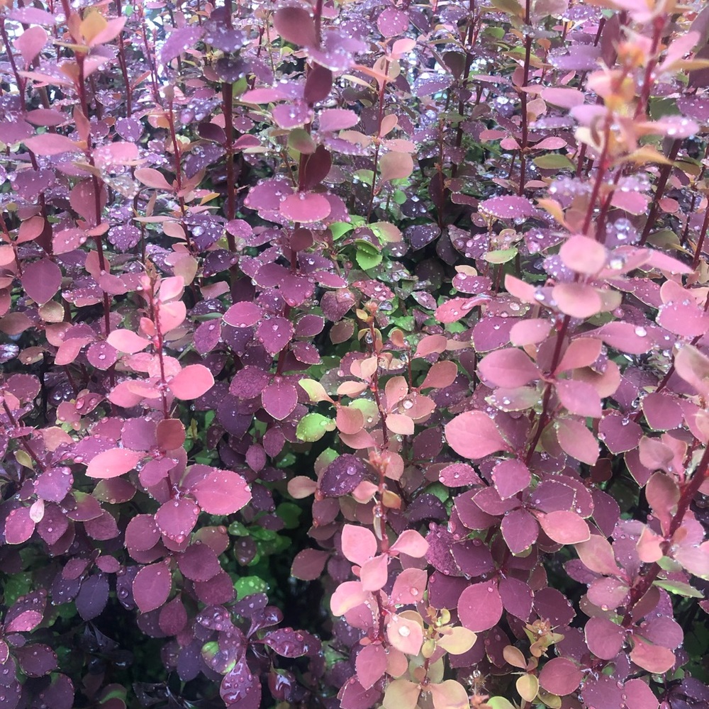 Meet your Posher, Kaleigh